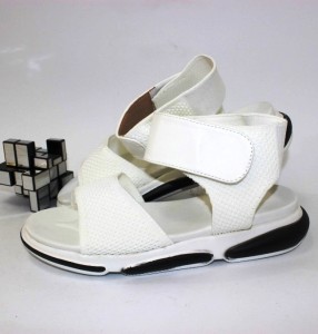 ������ ��������� ����������� Violetta p-109243. ������ � ������ - "������ ��������"