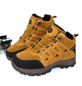 ������ �������� (35-41) GoldStar p-108864. ������ � ������ - "������ ��������"