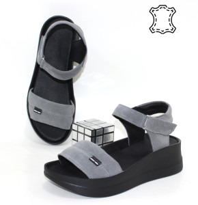 ������ ��������� ����������� Sali p-114785. ������ � ������ - "������ ��������"
