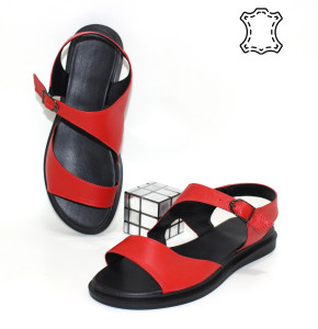 ������ ��������� ����������� Sali p-114803. ������ � ������ - "������ ��������"