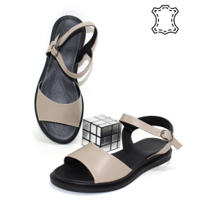 ������ ��������� ����������� Sali p-114804. ������ � ������ - "������ ��������"