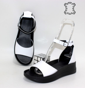 ������ ��������� ����������� Sali p-114805. ������ � ������ - "������ ��������"