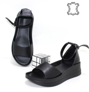 ������ ��������� ����������� Sali p-114834. ������ � ������ - "������ ��������"