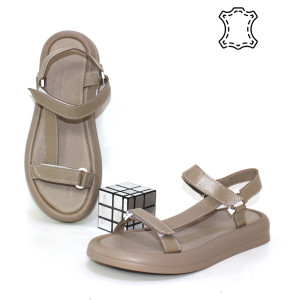 ������ ��������� ����������� Garti p-113992. ������ � ������ - "������ ��������"