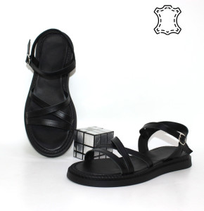 ������ ��������� ����������� Sali p-114011. ������ � ������ - "������ ��������"