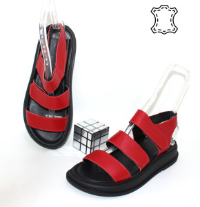 ������ ��������� ������������ Sali p-114038. ����� � ������� - "������ �������"