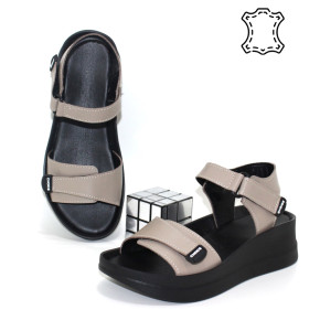 ������ ��������� ����������� Sali p-114642. ������ � ������ - "������ ��������"