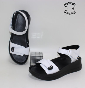 ������ ��������� ����������� Sali p-114655. ������ � ������ - "������ ��������"