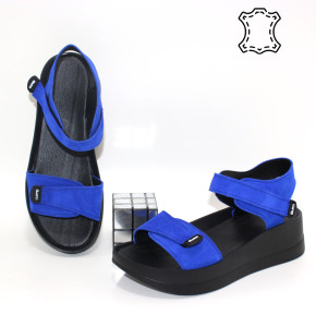 ������ ��������� ����������� Garti p-114668. ������ � ������ - "������ ��������"