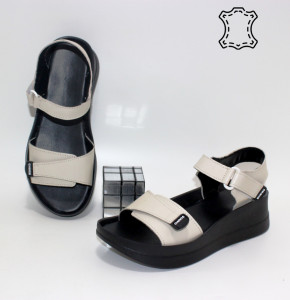 ������ ��������� ����������� Sali p-114670. ������ � ������ - "������ ��������"