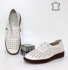 ������ ���� ���� ����������� Botema p-113803. ������ � ������ - "������ ��������"