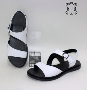 ������ ��������� ����������� Sali p-114691. ������ � ������ - "������ ��������"