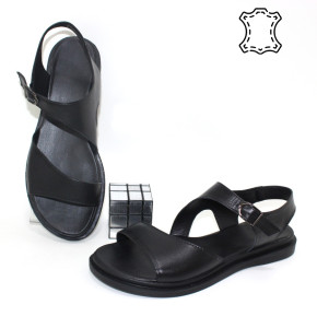 ������ ��������� ����������� Sali p-114692. ������ � ������ - "������ ��������"