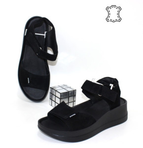 ������ ��������� ����������� Sali p-115168. ������ � ������ - "������ ��������"