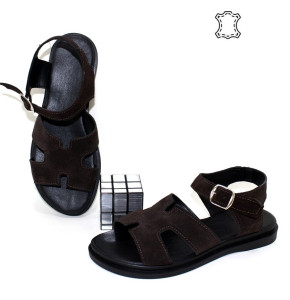 ������ ��������� ����������� Garti p-115179. ������ � ������ - "������ ��������"