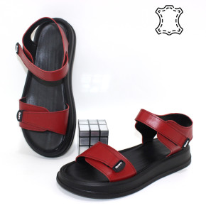 ������ ��������� ����������� Garti p-114701. ������ � ������ - "������ ��������"