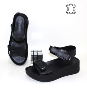 ������ ��������� ������������ Garti p-115188. ����� � ������� - "������ �������"