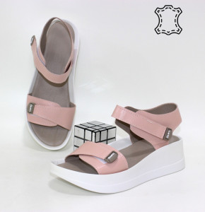 ������ ��������� ����������� Garti p-114727. ������ � ������ - "������ ��������"