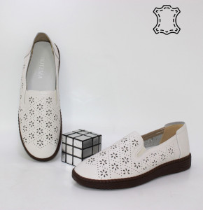 ������ ���� ���� ����������� Botema p-113827. ������ � ������ - "������ ��������"