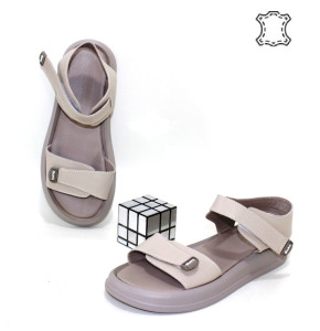 ������ ��������� ����������� Garti p-114702. ������ � ������ - "������ ��������"