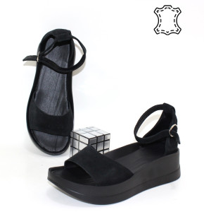 ������ ��������� ����������� Garti p-114747. ������ � ������ - "������ ��������"