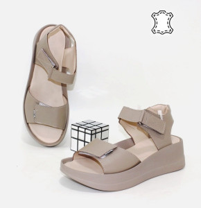 ������ ��������� ����������� Sali p-115149. ������ � ������ - "������ ��������"